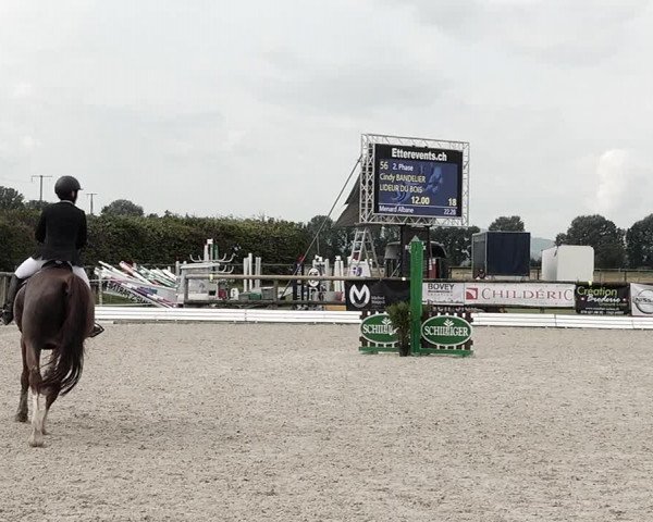 Concours Hippique de Dompierre 2021