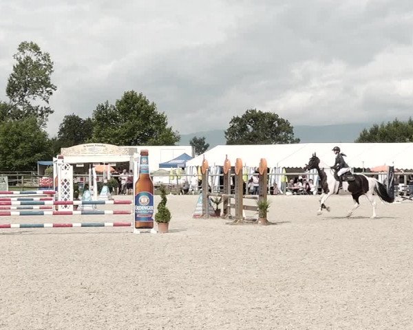 Concours Hippique de Dompierre 2021