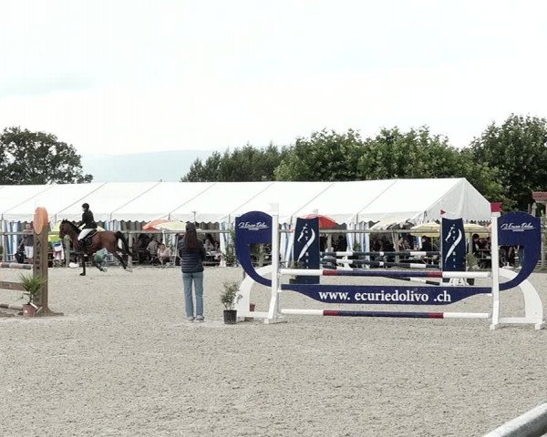 Concours Hippique de Dompierre 2021