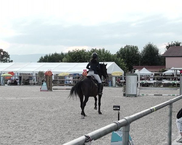 Concours Hippique de Dompierre 2021