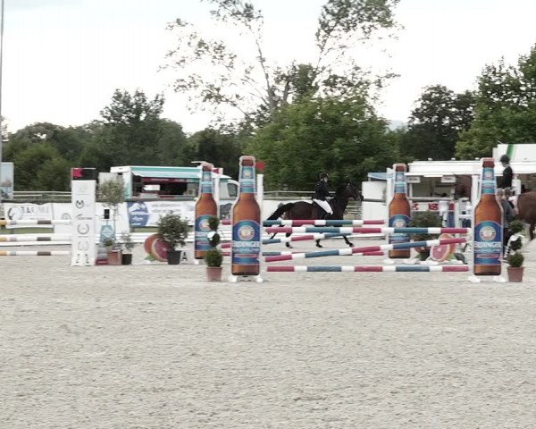 Concours Hippique de Dompierre 2021