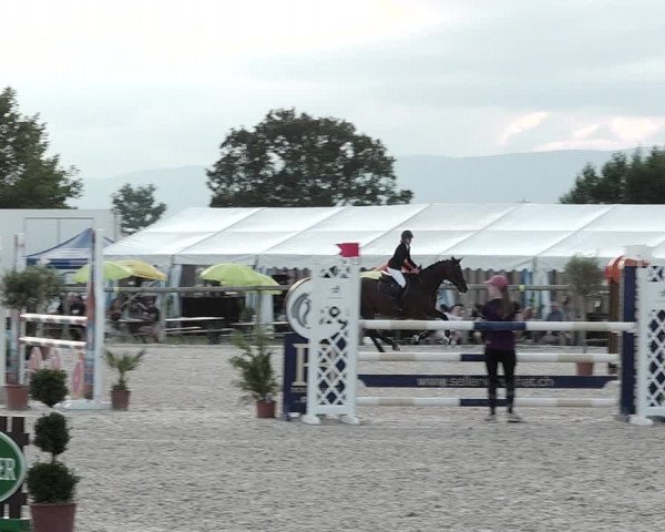 Concours Hippique de Dompierre 2021