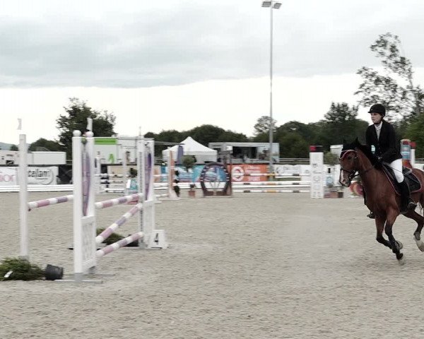 Concours Hippique de Dompierre 2021