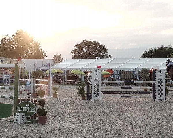 Concours Hippique de Dompierre 2021