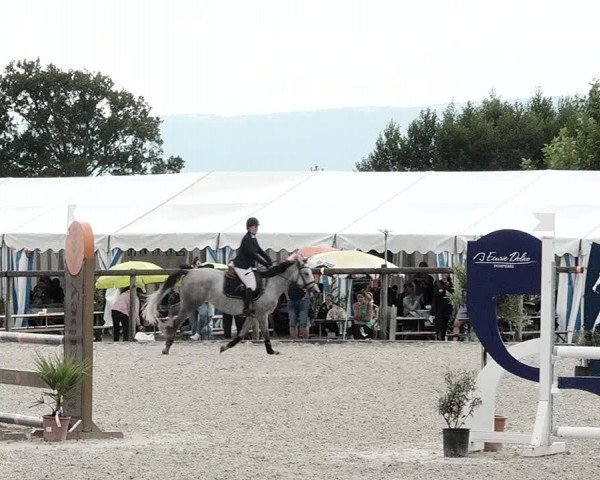 Concours Hippique de Dompierre 2021