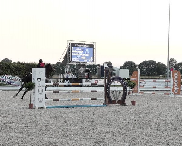 Concours Hippique de Dompierre 2021