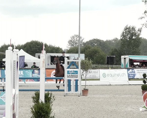 Concours Hippique de Dompierre 2021