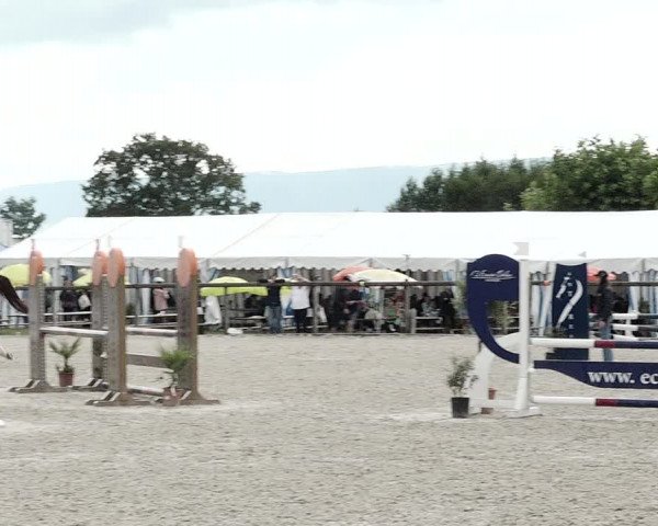 Concours Hippique de Dompierre 2021