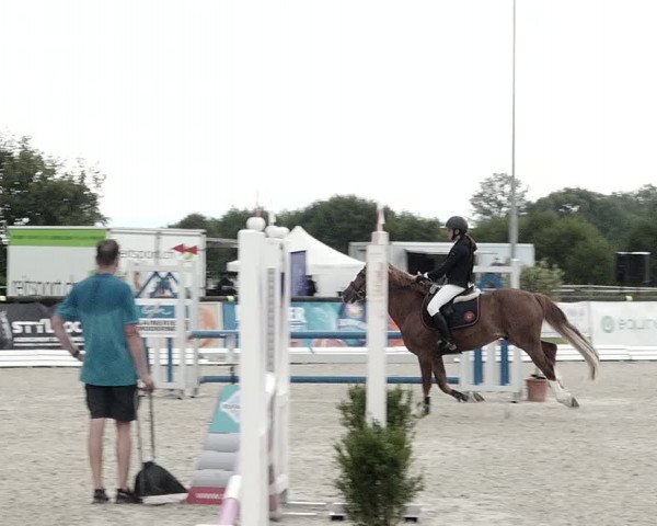 Concours Hippique de Dompierre 2021