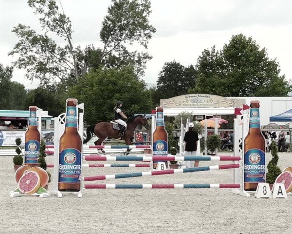 Concours Hippique de Dompierre 2021