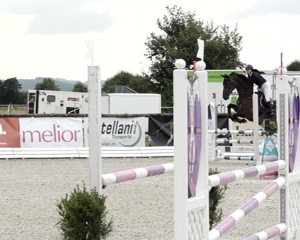 Concours Hippique de Dompierre 2021