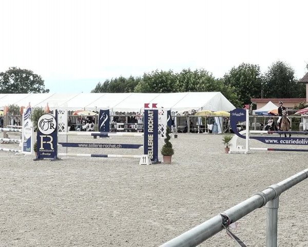 Concours Hippique de Dompierre 2021