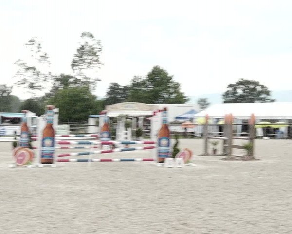 Concours Hippique de Dompierre 2021