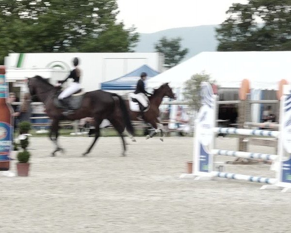 Concours Hippique de Dompierre 2021