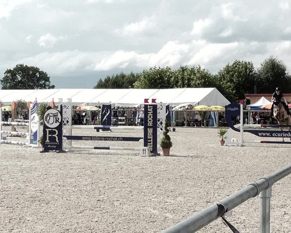 Concours Hippique de Dompierre 2021