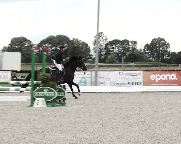 Concours Hippique de Dompierre 2021