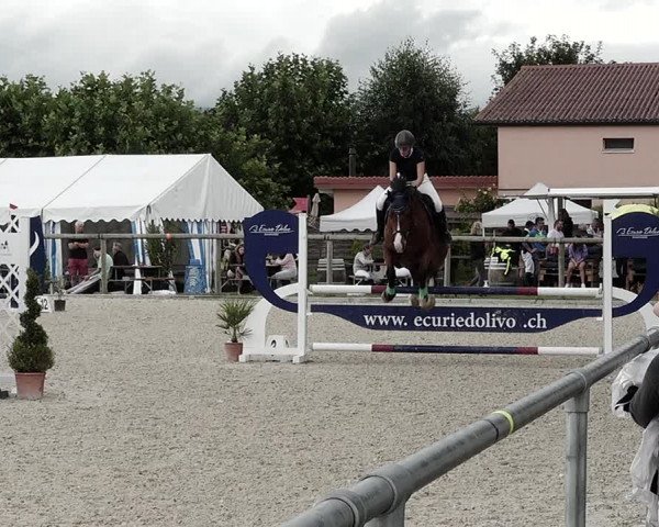Concours Hippique de Dompierre 2021