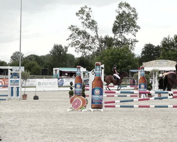 Concours Hippique de Dompierre 2021