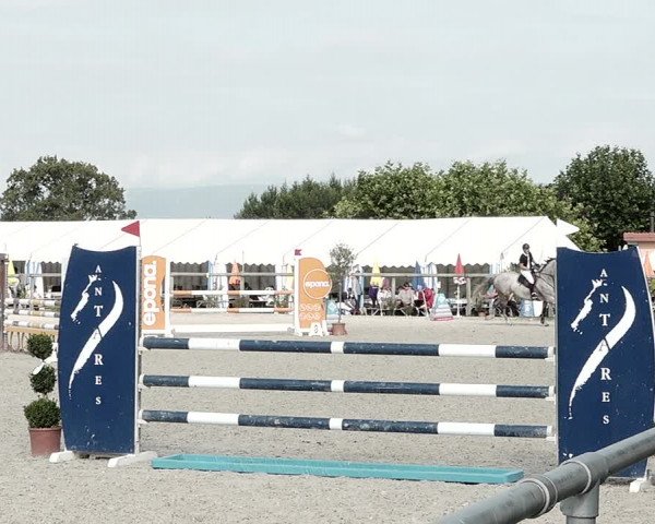 Concours Hippique de Dompierre 2021