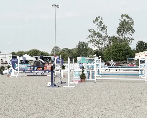 Concours Hippique de Dompierre 2021
