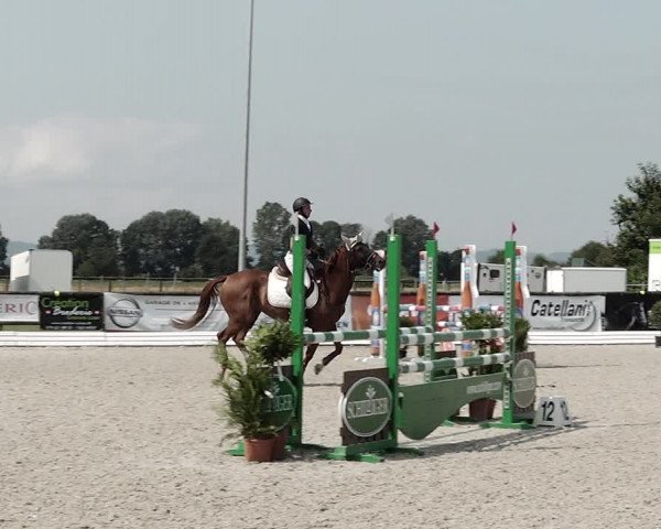 Concours Hippique de Dompierre 2021