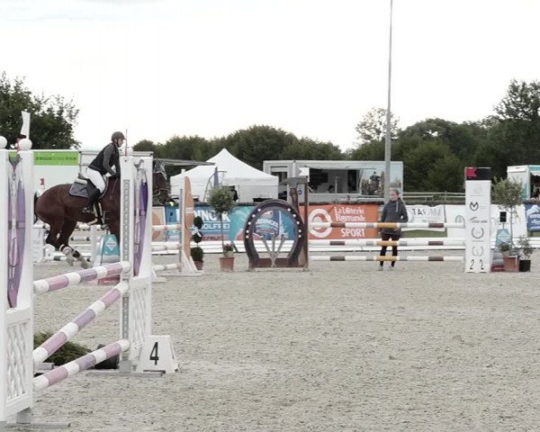 Concours Hippique de Dompierre 2021