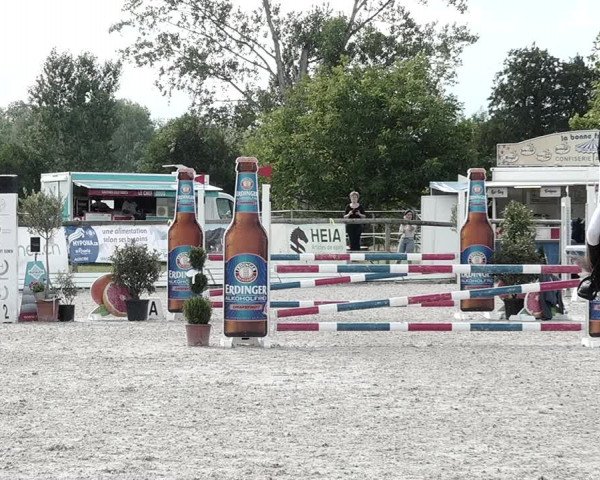 Concours Hippique de Dompierre 2021