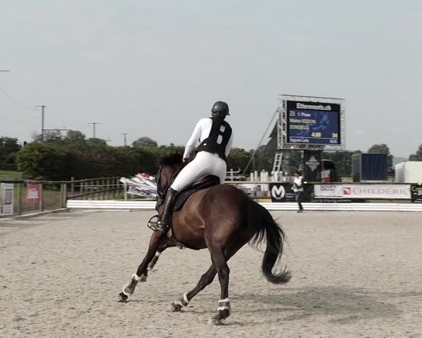 Concours Hippique de Dompierre 2021