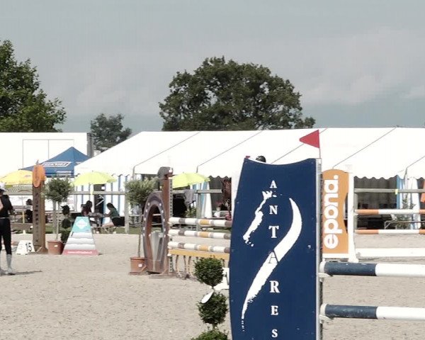 Concours Hippique de Dompierre 2021