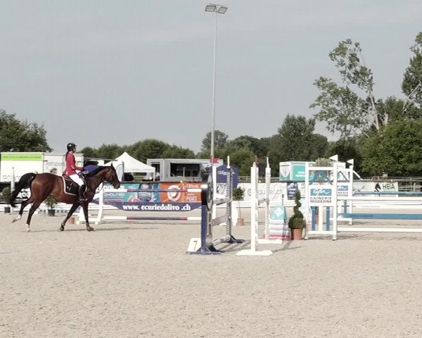 Concours Hippique de Dompierre 2021