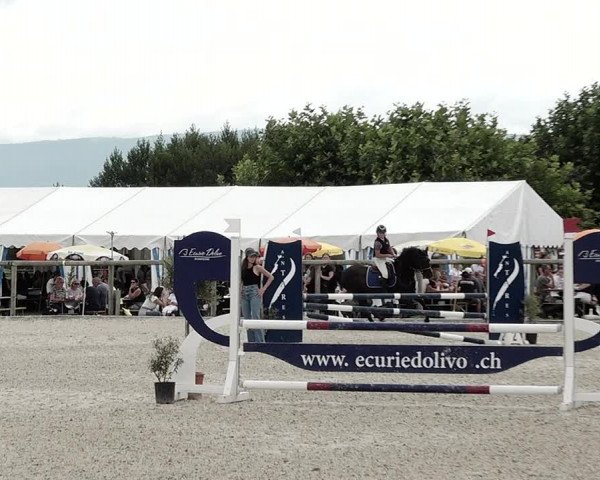 Concours Hippique de Dompierre 2021