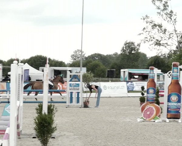 Concours Hippique de Dompierre 2021
