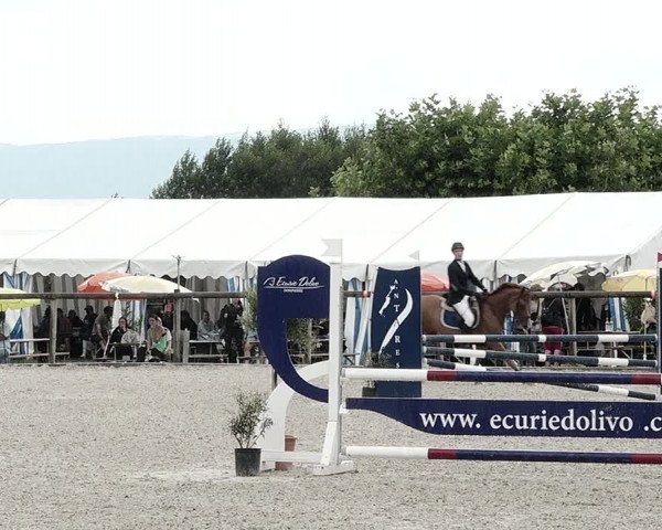 Concours Hippique de Dompierre 2021