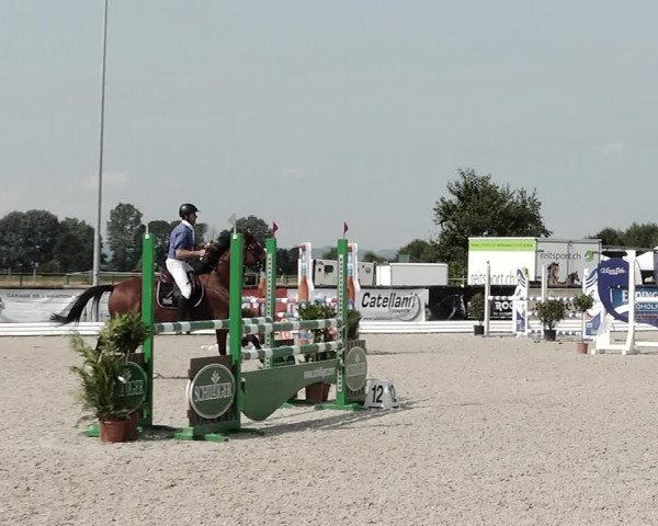 Concours Hippique de Dompierre 2021