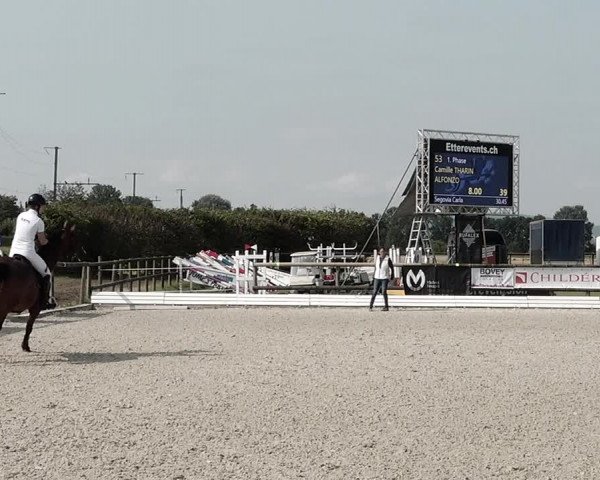 Concours Hippique de Dompierre 2021