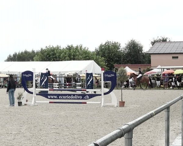 Concours Hippique de Dompierre 2021