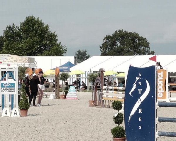 Concours Hippique de Dompierre 2021