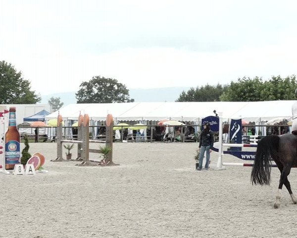 Concours Hippique de Dompierre 2021