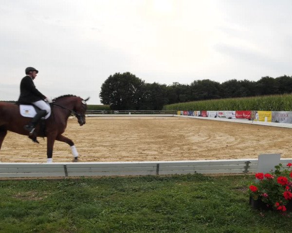 Sommerturnier Ostbevern 2021