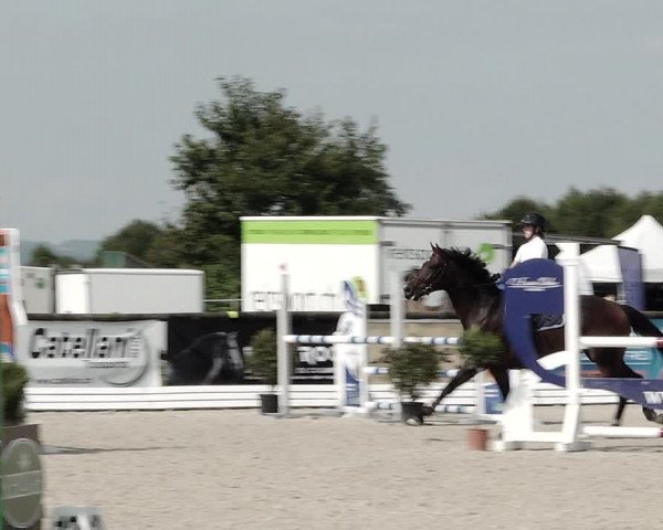 Concours Hippique de Dompierre 2021