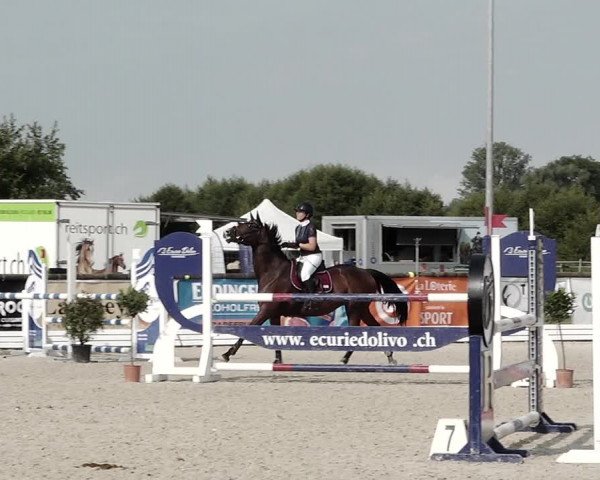 Concours Hippique de Dompierre 2021