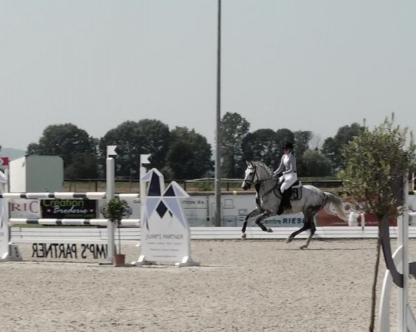 Concours Hippique de Dompierre 2021