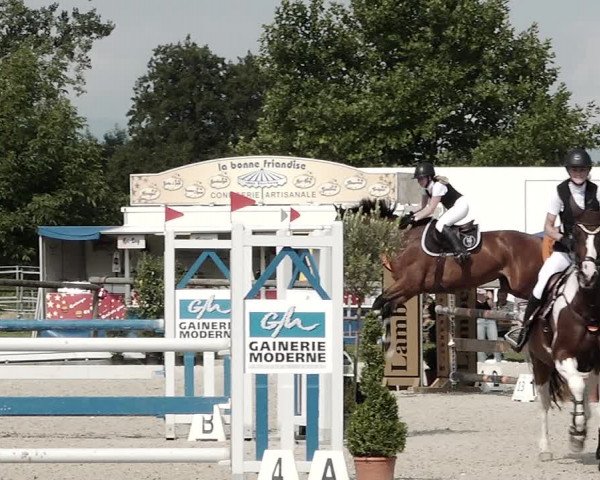 Concours Hippique de Dompierre 2021