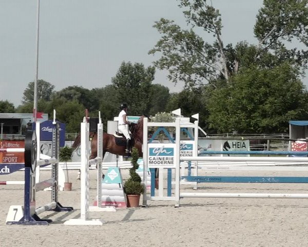 Concours Hippique de Dompierre 2021