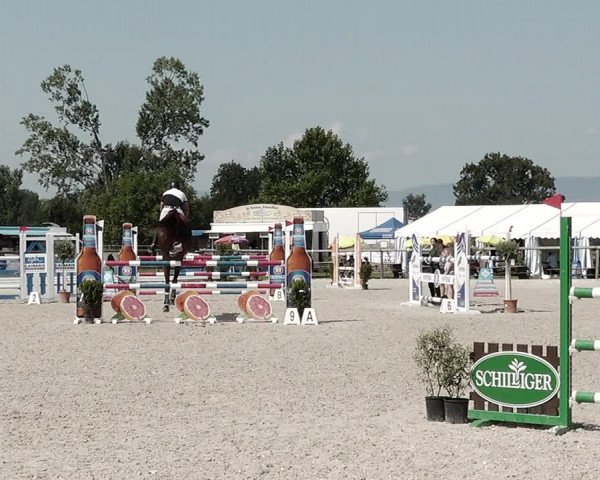Concours Hippique de Dompierre 2021