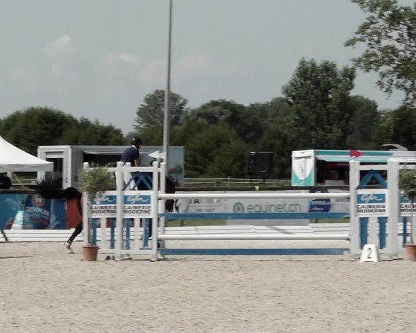 Concours Hippique de Dompierre 2021