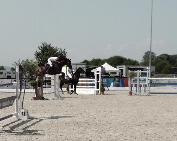 Concours Hippique de Dompierre 2021
