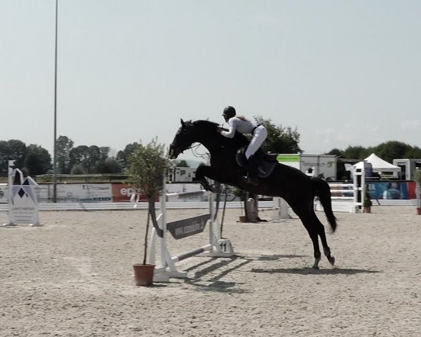 Concours Hippique de Dompierre 2021