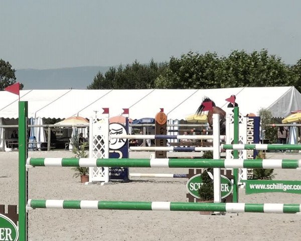 Concours Hippique de Dompierre 2021