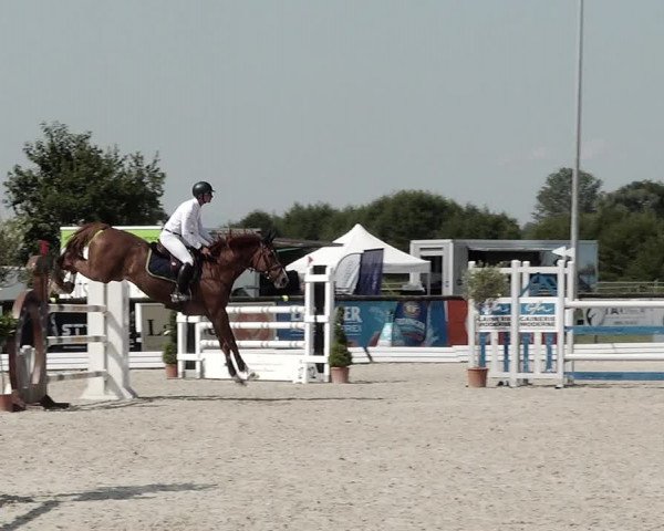 Concours Hippique de Dompierre 2021